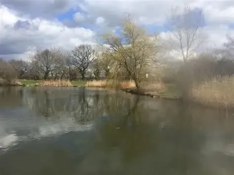 fishing-results