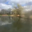fishing-results